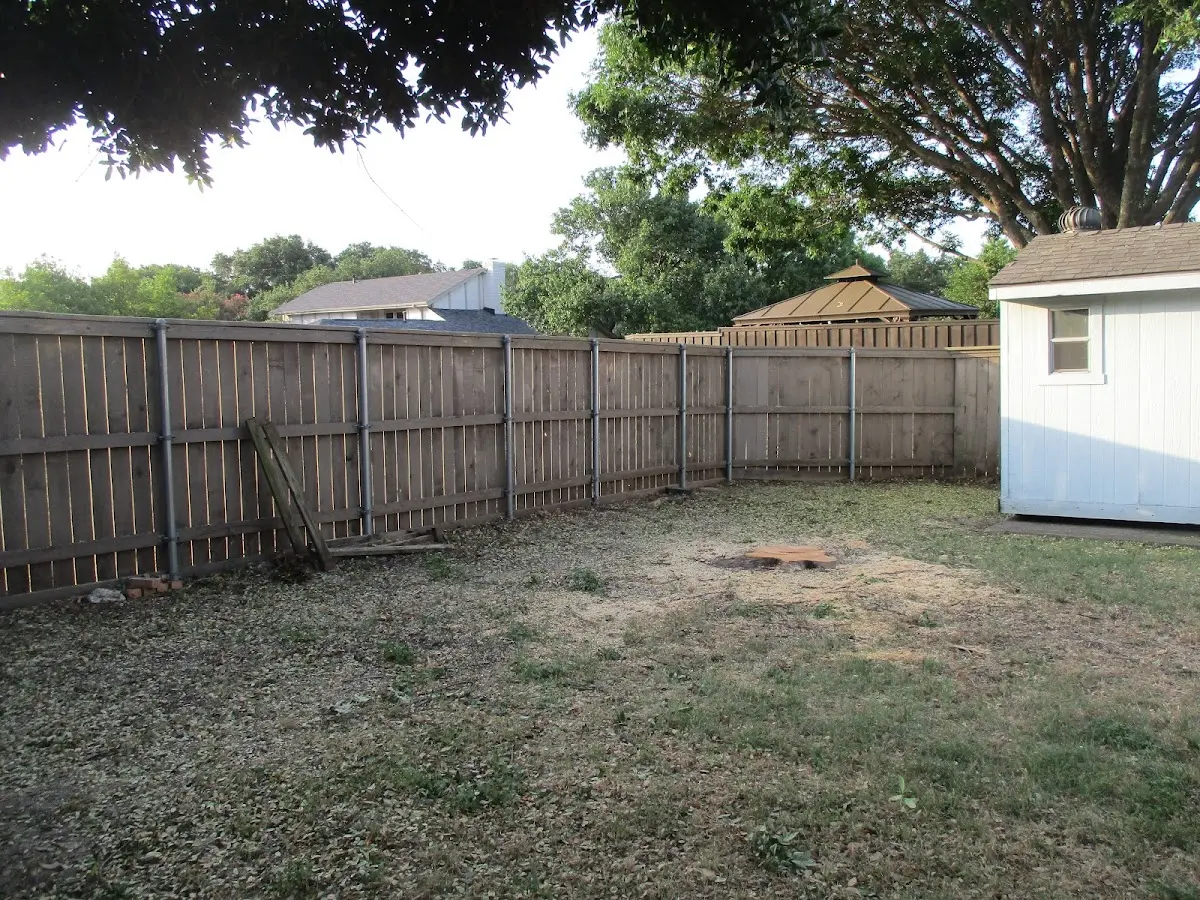 Cleared yard after professional tree removal in Pelkie