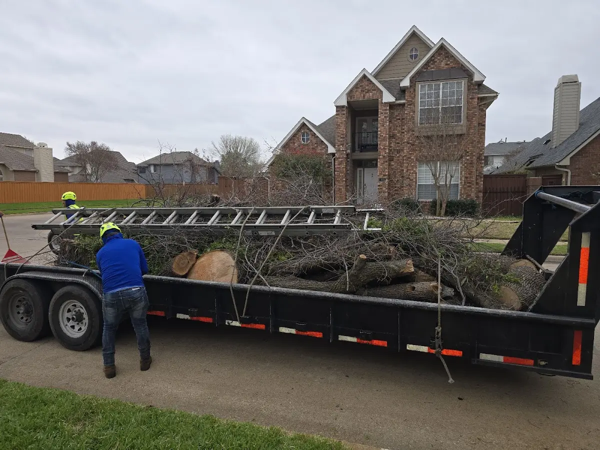 Expert Tree Fertilization with proper safety equipment in Pelkie